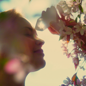 Basic Light Medicine Practitioner — Certification — 29th March 2023