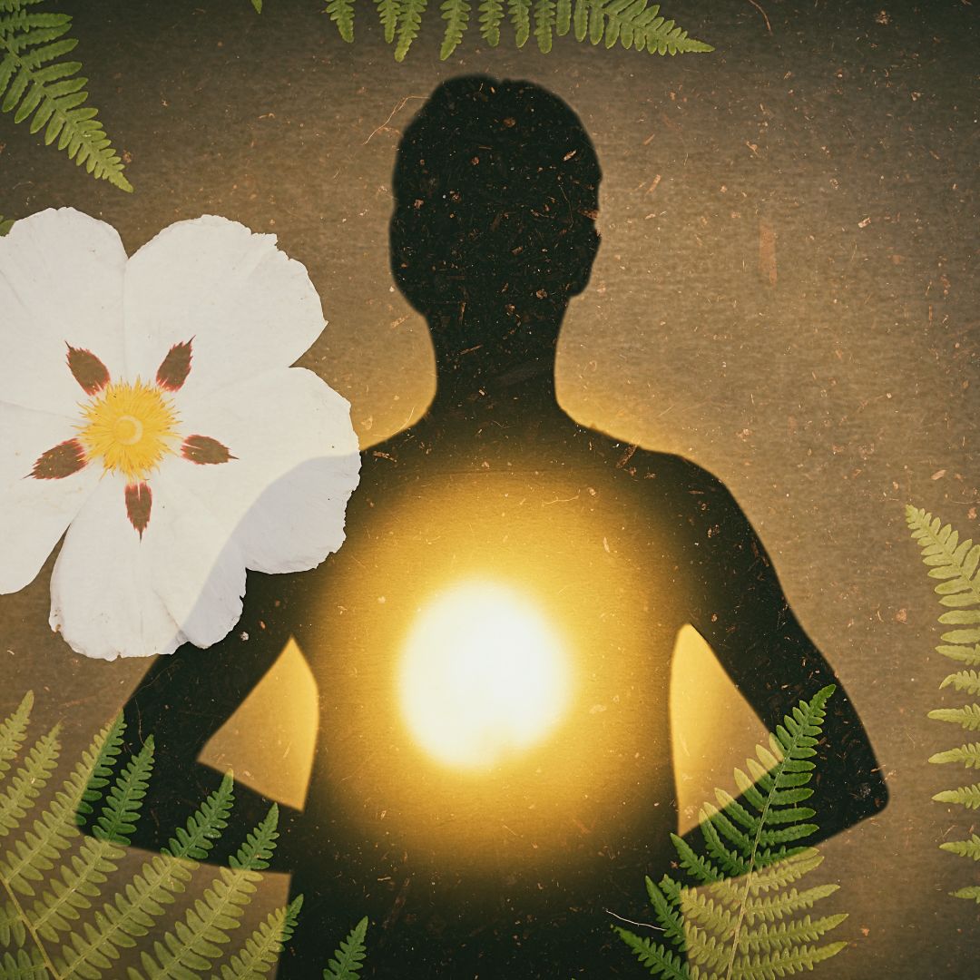 Luminous you — A Mini Retreat